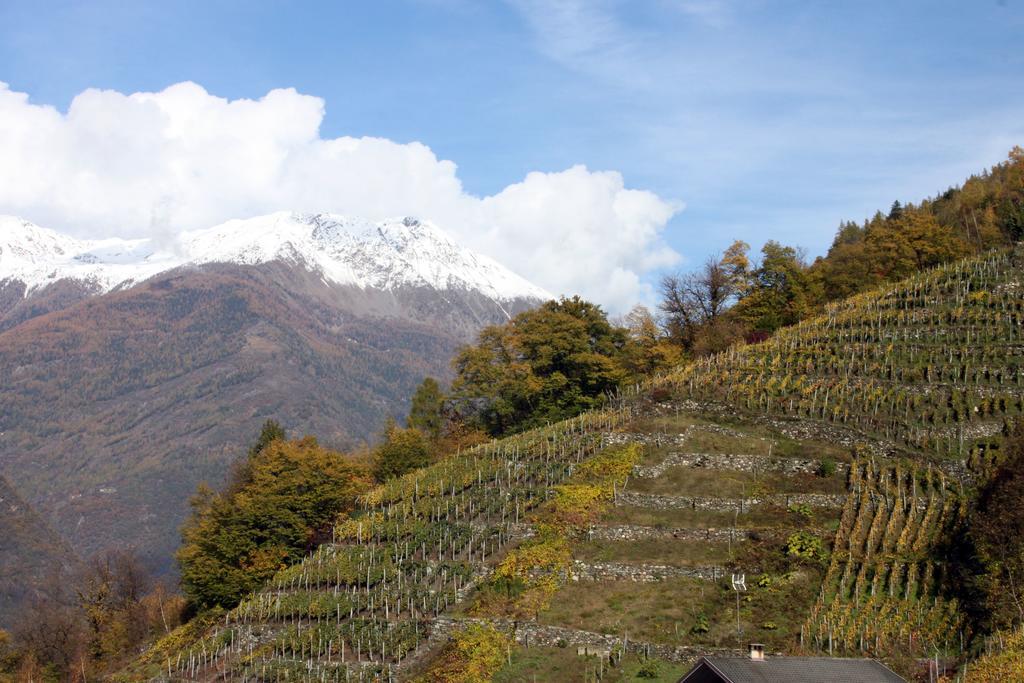 Apartament La Madonnina Villa di Tirano Pokój zdjęcie